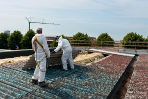 asbestos removal services